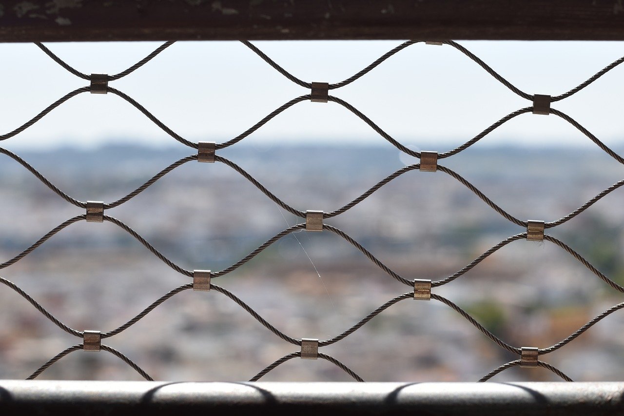 app详情下载教程注册冲量