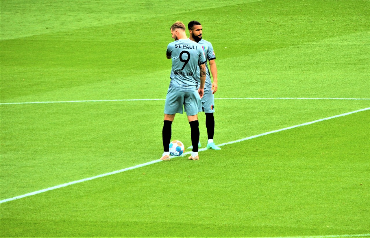 DDOS网页端平台|鹿城专职代理记账平台