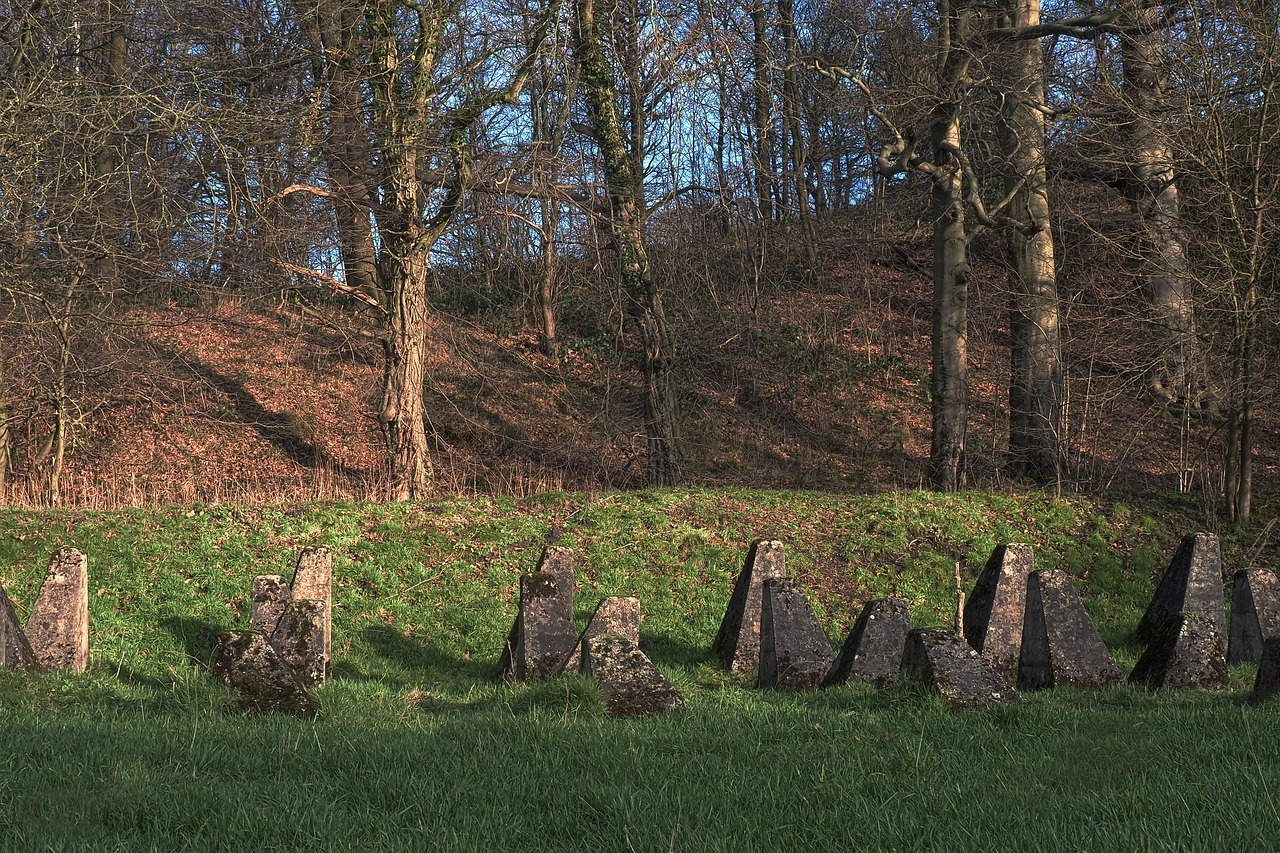 支付宝号买卖：江苏运输货物代理平台电话