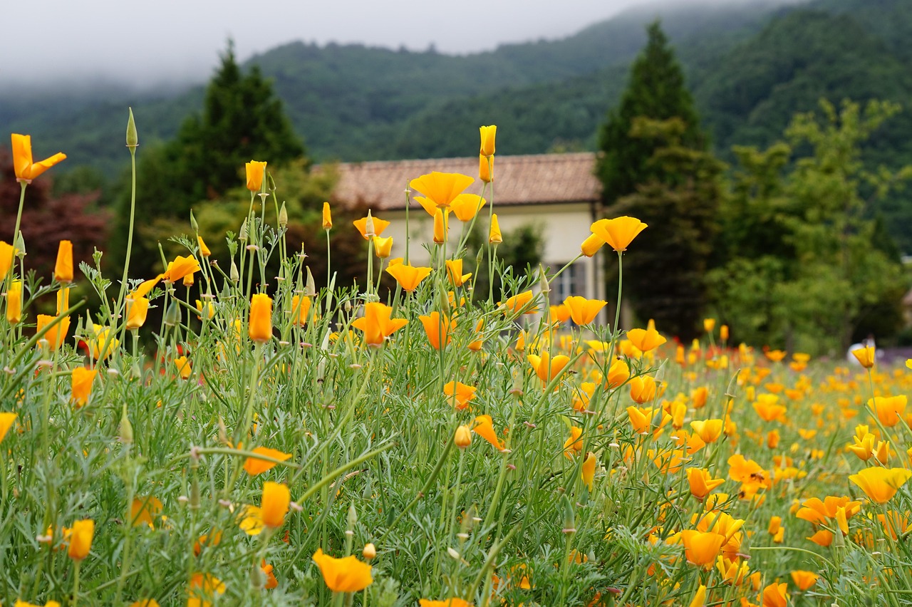 吸烟时如何节省支出