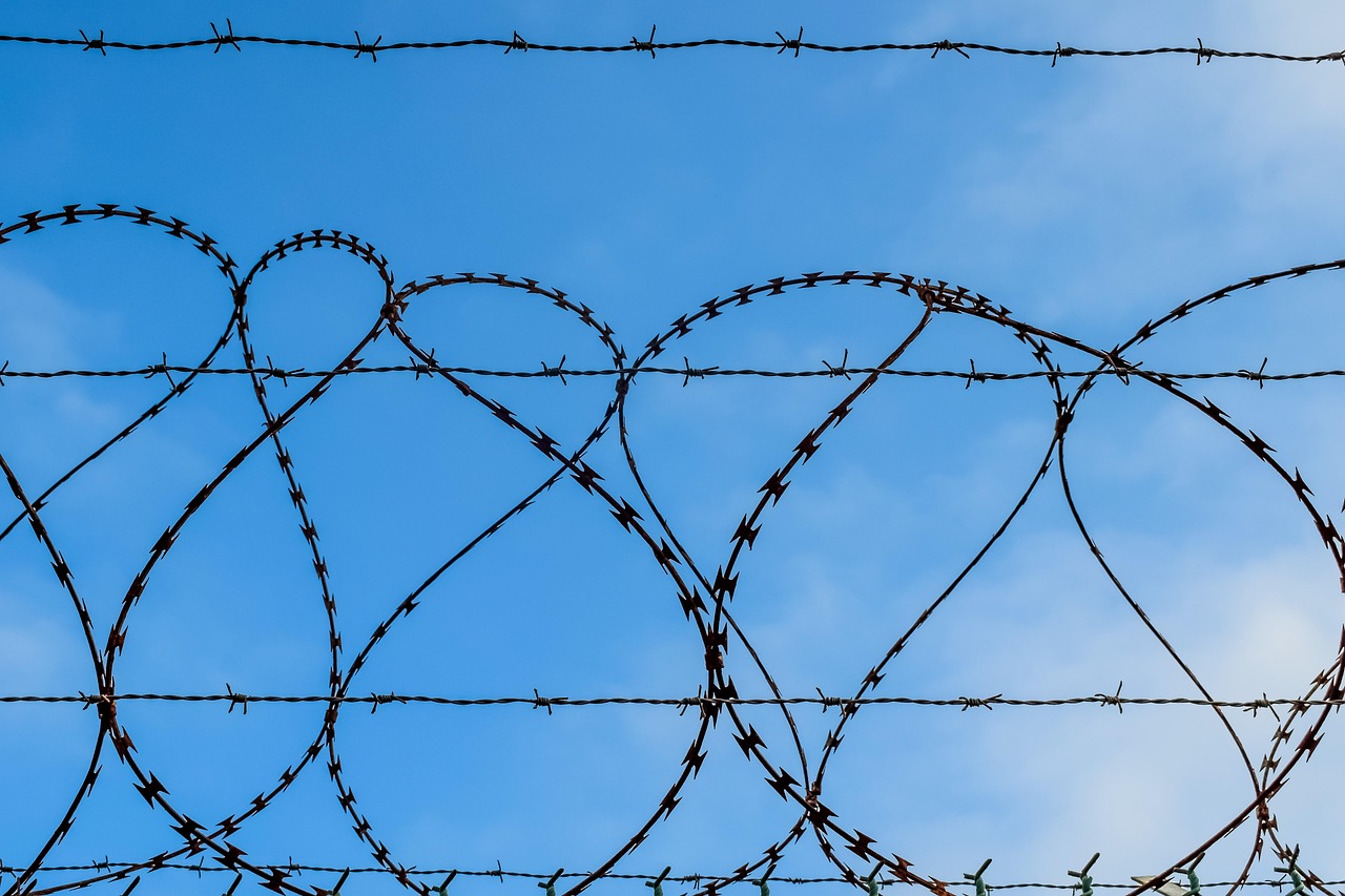 万事腐烂国度购买平台