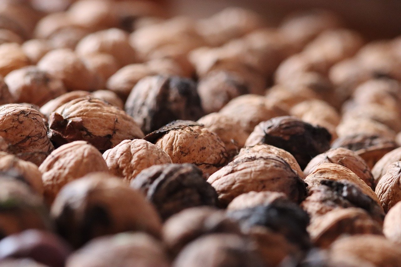 金山区会计企业注册代理商